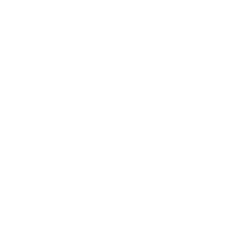 Model Icon