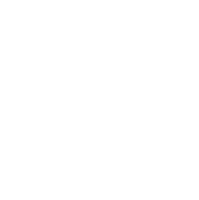 Capacity Icon